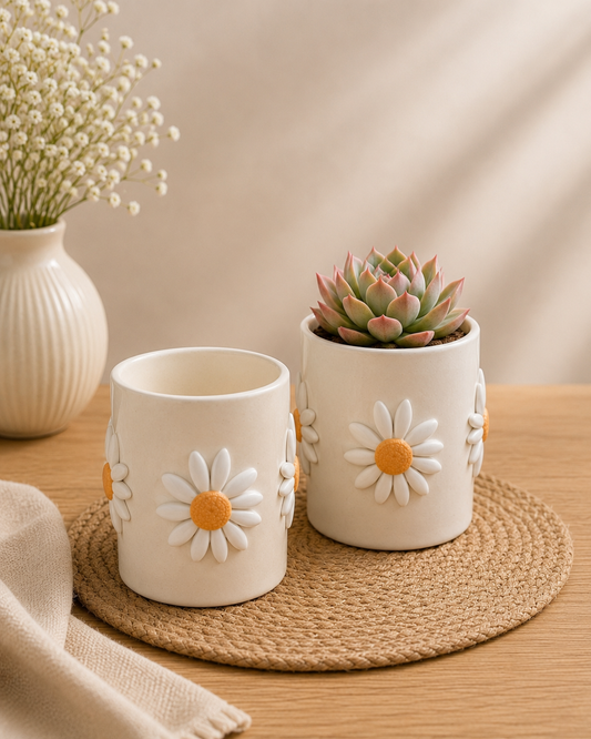White Daisy Garden Succulent Planter