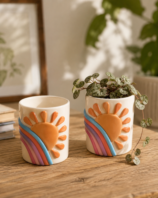 Sunshine Rainbow Succulent Planter
